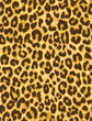 Vector: leopard fur seamless vector pattern leopard fur seamless vector pattern