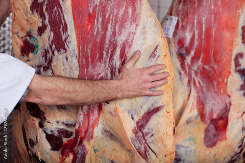 Foto: metzger mit rinderhälften metzger mit rinderhälften