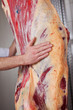 fleisch mit kontrollstempel im schlachthaus