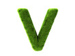 Grass v