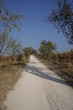 Monte Fasolo