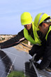 electricité et ecologie