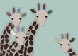 Giraffe family looking surprised, with green background
