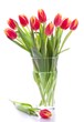 Fresh pink tulips in a vase