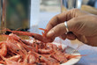 picking shrimp
