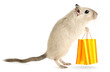 Cute little mouse goes shopping