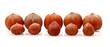Big and small Hazelnuts Isolated on White Background