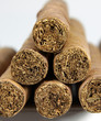 Cigar Pile