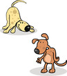 two dogs sleeping