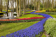 Photo: Blumen im Frühling Blumen im Frühling