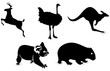 animal icon
