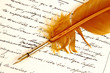 Letter written by Feather Letter written by Feather