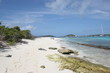 Plage de Martinique