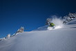 skier