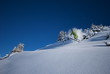 ski