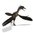 Dinosaur Archaeopteryx. 3D rendering with clipping path and Dinosaur Archaeopteryx. 3D rendering with clipping path and