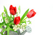 tulip