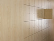 Open locker in locker room