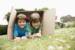 Two in backyard lying in cardboard box, portrait