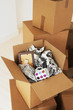 Foto: Open box, newspaper and cup inside Open box, newspaper and cup inside