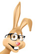 bunny with black glasses bunny with black glasses
