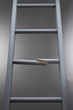 Ladder with one step broken