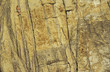 Rock climber on cliff face