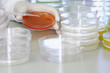 Lab worker adding drops to petri dish
