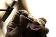 Foto: goldsmith making ring goldsmith making ring