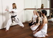 Students observing Tae Kwon Do - Dantae demonstration