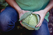 A man holding a cabbage