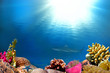 An underwater scene with sun rays