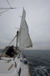 vela nautica