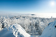Winter nature