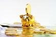 viel geld #11