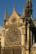 France, Paris, cathédrale Notre-Dame