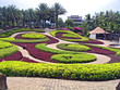 lawn from colors in a botanical garden of Nong Nuch.