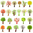Collection Of Trees Collection Of Trees