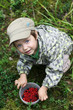 Gathering berries
