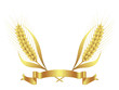 Blason en or Blason en or