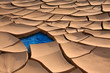 Dried river bed with water.