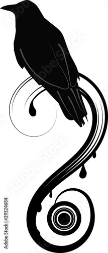 Illustration: Raven and question mark Raven and question mark