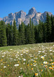 Photo: Canadian Rocky Mountains Canadian Rocky Mountains