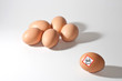 eggs on white background