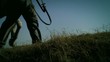Video: Man walking in the front of the horse Man walking in the front of the horse