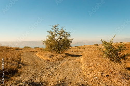 Photo: Galilee. North Israel . Galilee. North Israel .