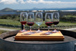 Wine Tasting - Glasses, red and white Wine Tasting - Glasses, red and white
