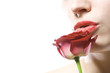 portrait mit rose