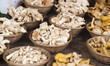 variété de champignons d'automne
