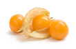 physalis